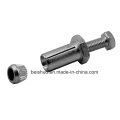 Zinc Plated Expansion Hex Âncora Bolt Grade 8.8